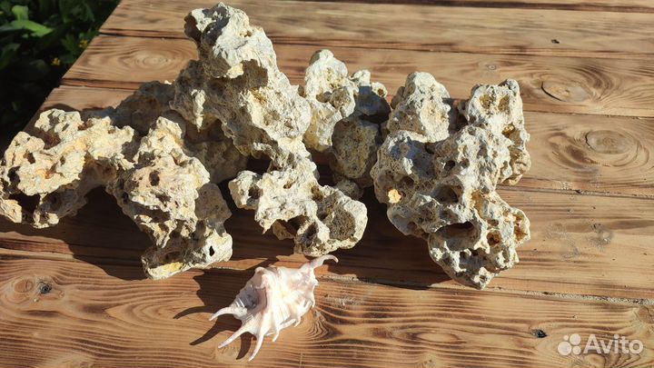 Для аквариума