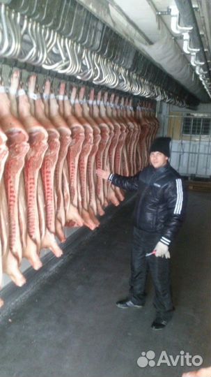 Мясо свинина полутуши