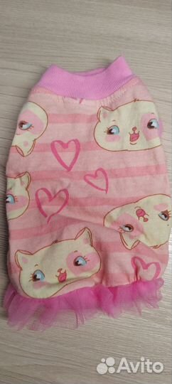 Сухой корм для котят