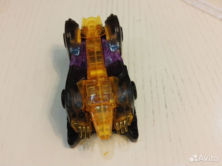 Дикий скричер в хорошем состоянии