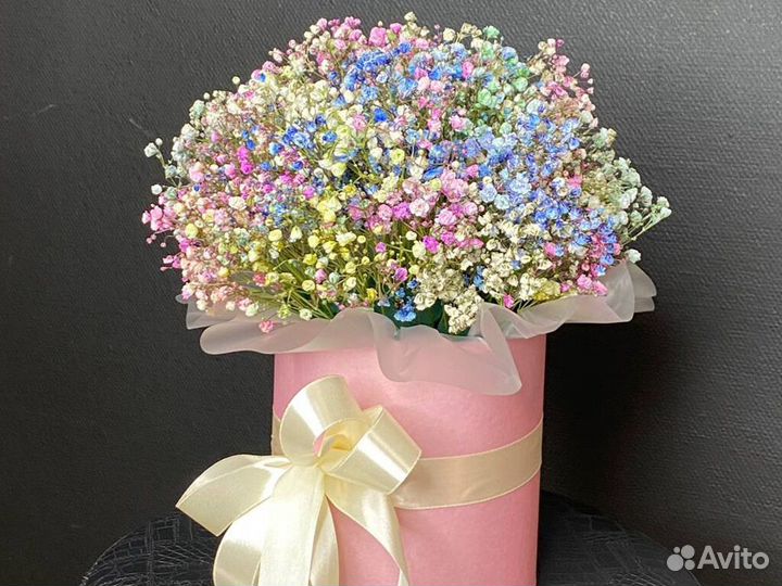 Гипсофила в коробке 5 шт