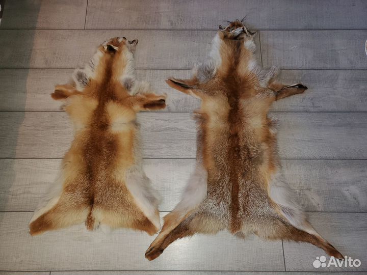Шкурки лисы