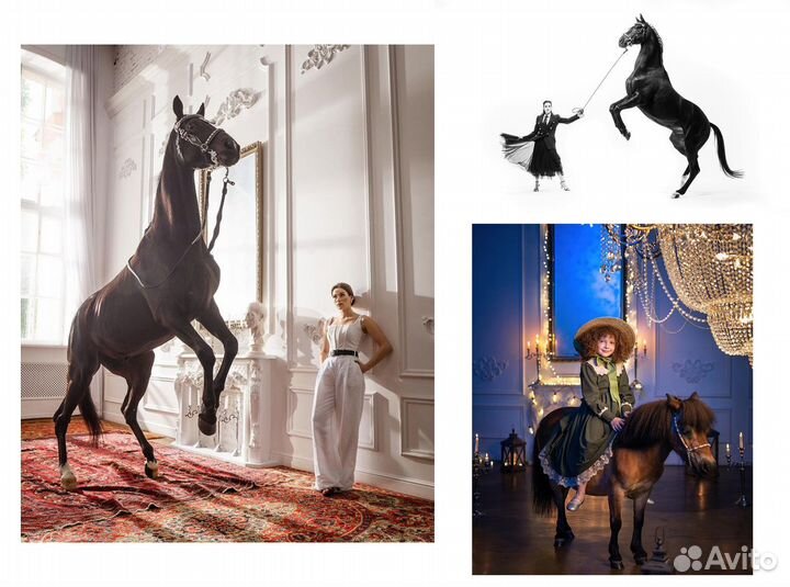 Фотосессия Творческая