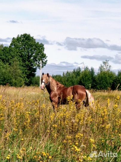 Советский тяжеловоз