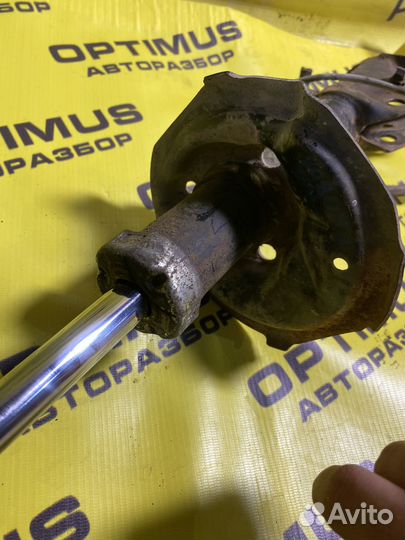 Стойка передняя левая Toyota Probox