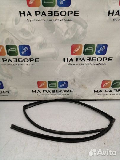 Уплотнительная резинка стекла двери задняя правая