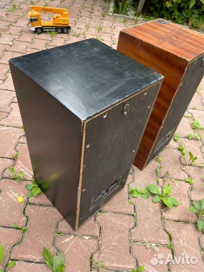 Акустические колонки Вега С-50