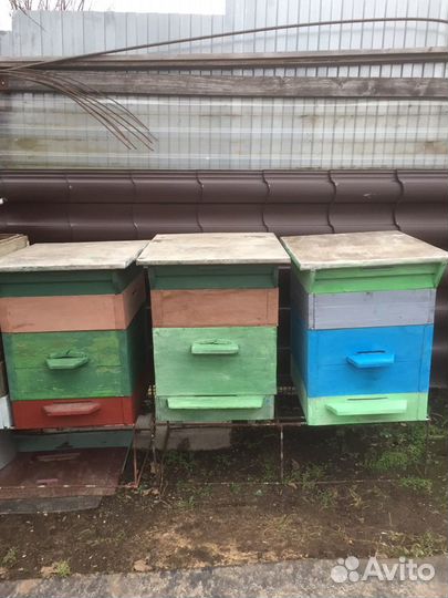Улей б/у