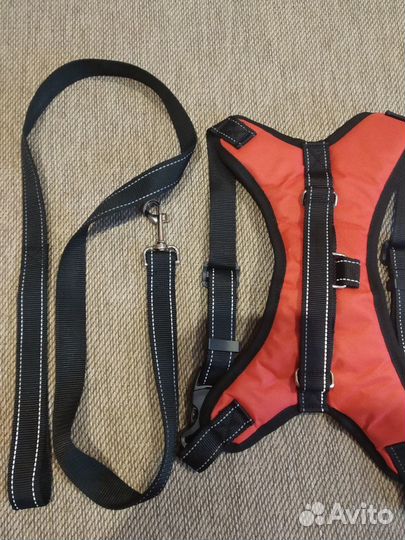 Шлейка с поводком для собак