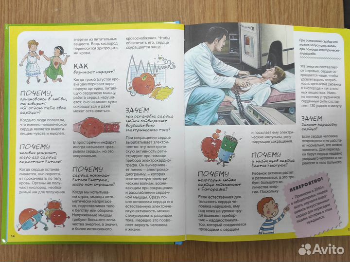 Книга Тело человека