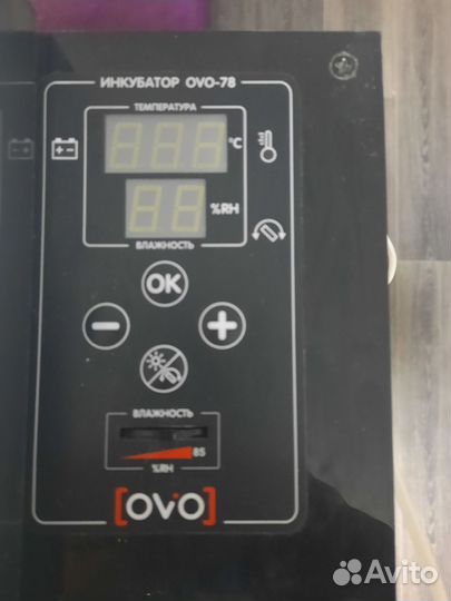 Инкубатор для яиц автоматический бу