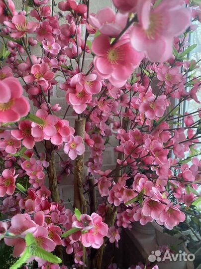 Сакура искуственная 1,8