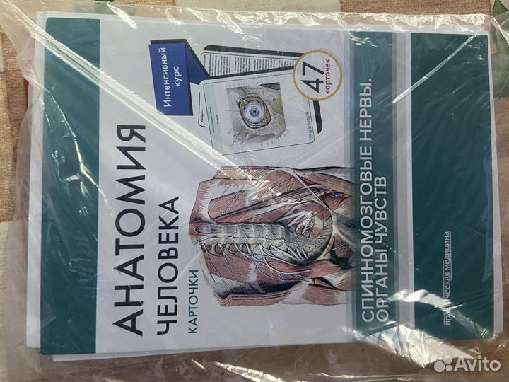 Карточки по анатомии человека