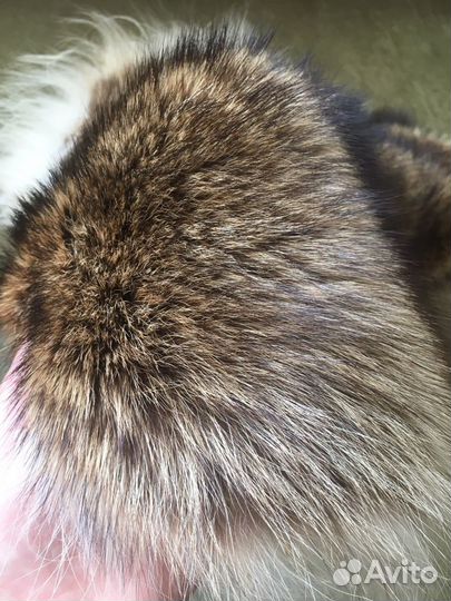 Воротник из енота