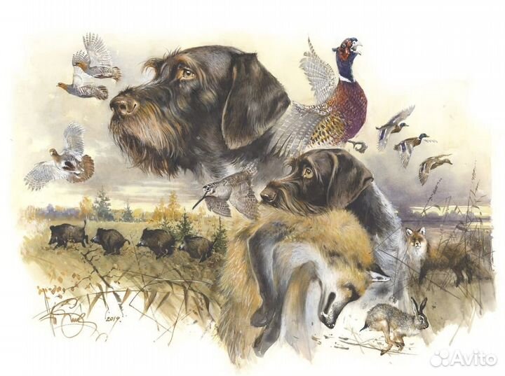 Ошейник IPets PET-618