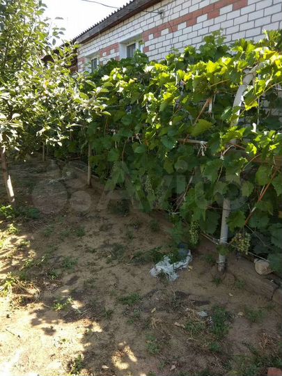 Дом 73 м² на участке 9 сот.