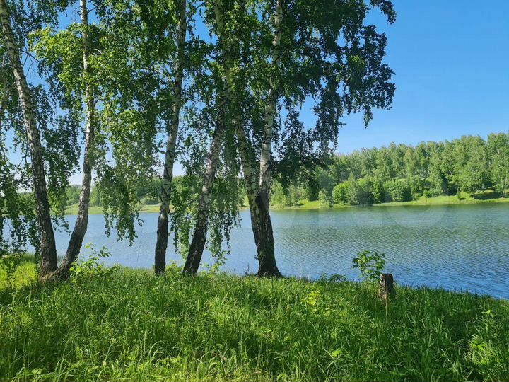 Участок 10,5 сот. (СНТ, ДНП)