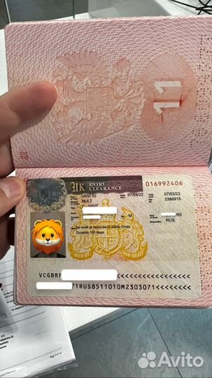 Шенгенская виза гарантирована до 5 лет