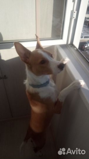 Вязка кабеля