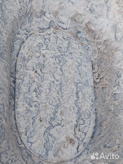 Лючок переднего подкрылка Skoda Fabia 2 5J0809967