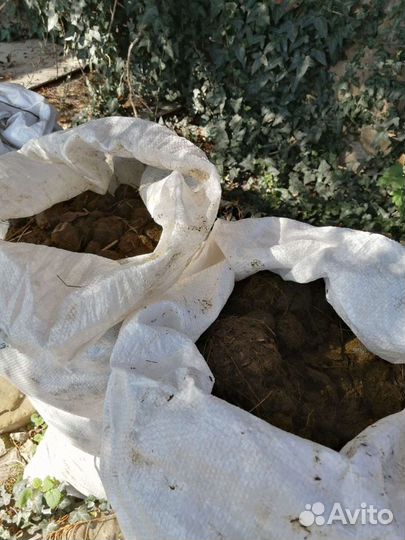 Навоз конский в мешках