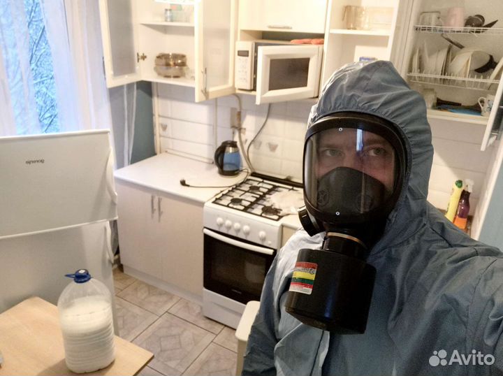 Уничтожение клопов и тараканов