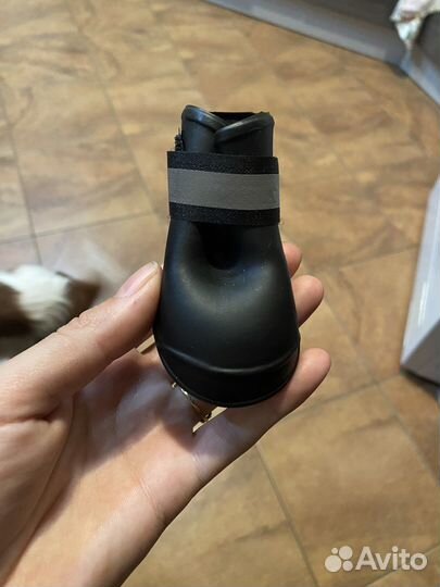 Ботинки для собак