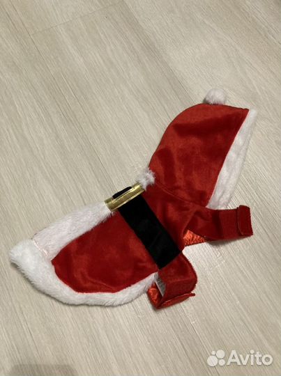 Одежда для собак