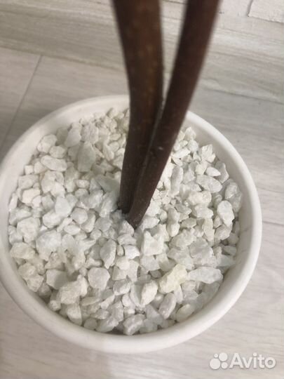 Искусственное дерево. Топиарий