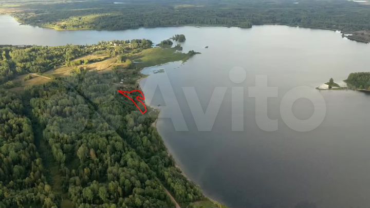 Участок 91 сот. (СНТ, ДНП)