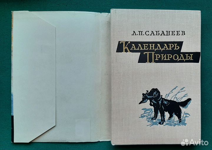 Сабанеев Л. Календарь природы. 1964