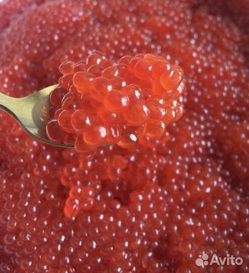 Икра Красная Малосоленая,Очень Вкусная Качество