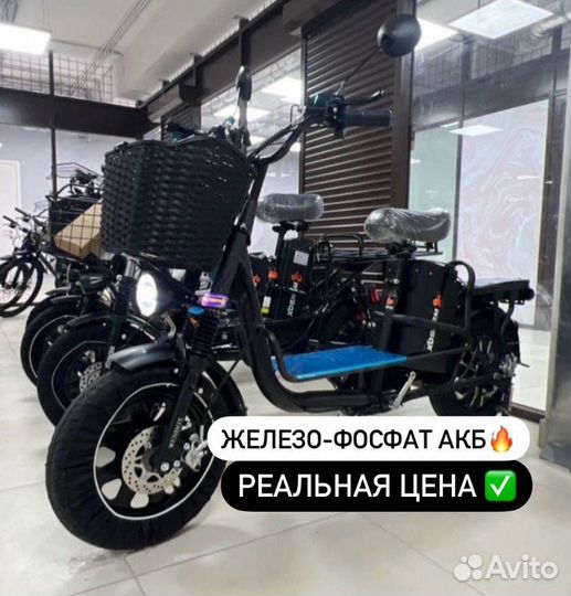 Wenbox monster Pro Plus 2024