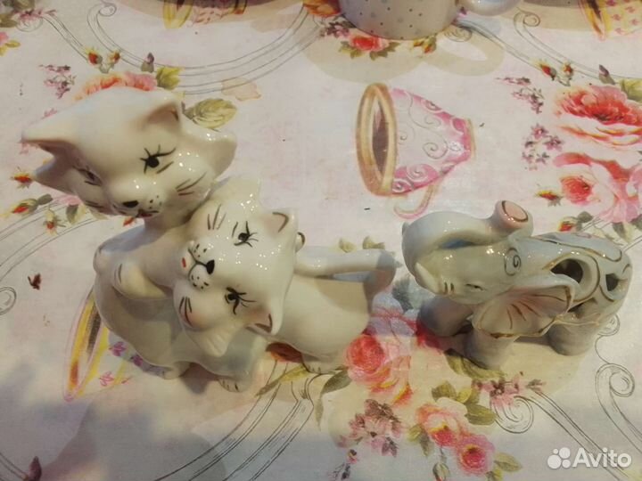 Слон, кошечки