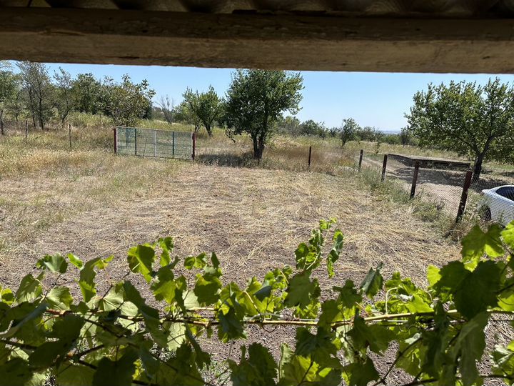 Дом 20 м² на участке 4,5 сот.