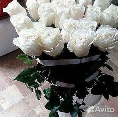 Высокие Розы с Доставкой