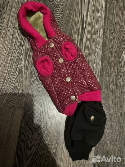 Одежда для маленькой собачки