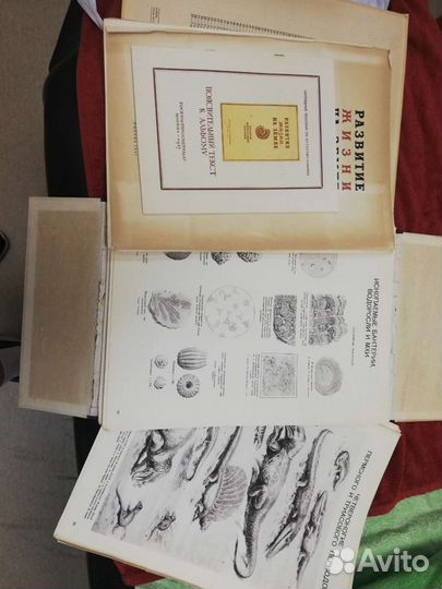 Раритетный альбом наглядных пособий