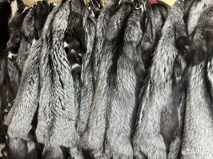 Шкура чернобурки