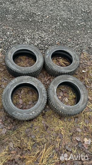 Viatti Brina Nordico V-522 195/65 R15 91T