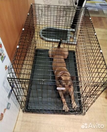 Аренда/продажа Клетка для собак, кошек