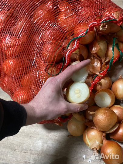 Халцедон на посадку лук