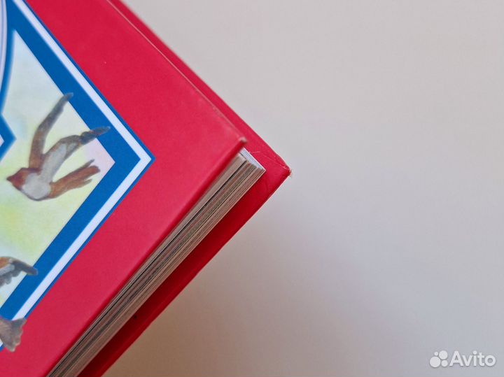 Новая детская книга сказки русских писателей