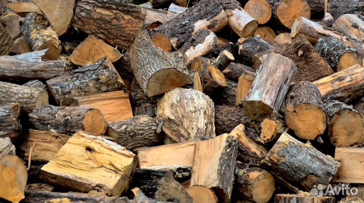 Дрова в Белоострове