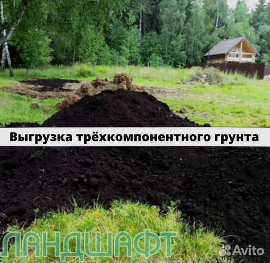 Де люкс рулонный газон от 50м2 мо