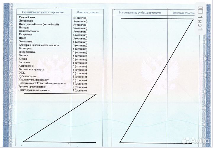 Репетитор ОГЭ по обществознанию