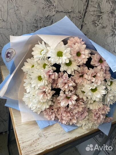 Хризантема кустовая оптом и в розницу Красноярск