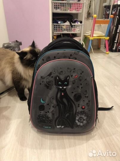 Ранец ортопедический hummingbird