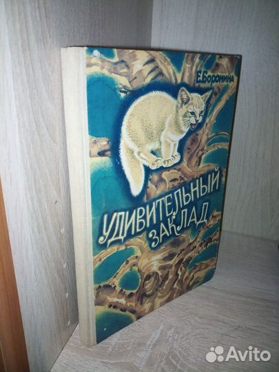 Удивительный заклад. Боронина Е. 1991г