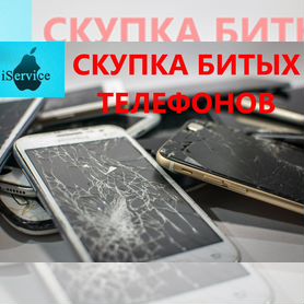 скупка запчастей - Купить телефон, 📱 смартфон во всех регионах с доставкой  | Недорогие телефоны | Авито